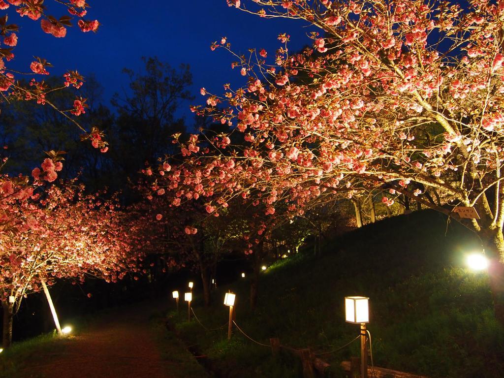 Inn Yokotei Nagatoro  Exterior photo